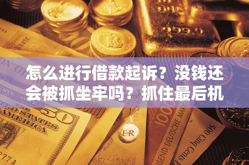 济南怎么进行借款起诉？没钱还会被抓坐牢吗？抓住最后机会！