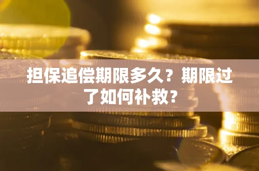 济南担保追偿期限多久？期限过了如何补救？