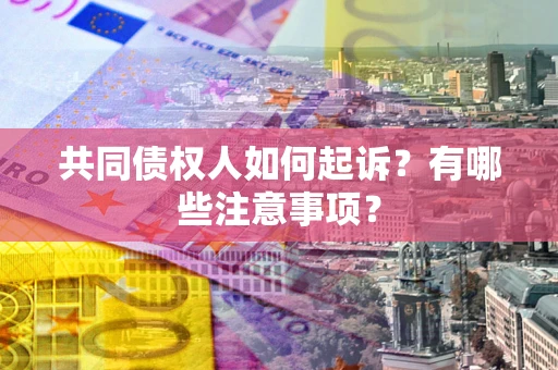 济南共同债权人如何起诉？有哪些注意事项？